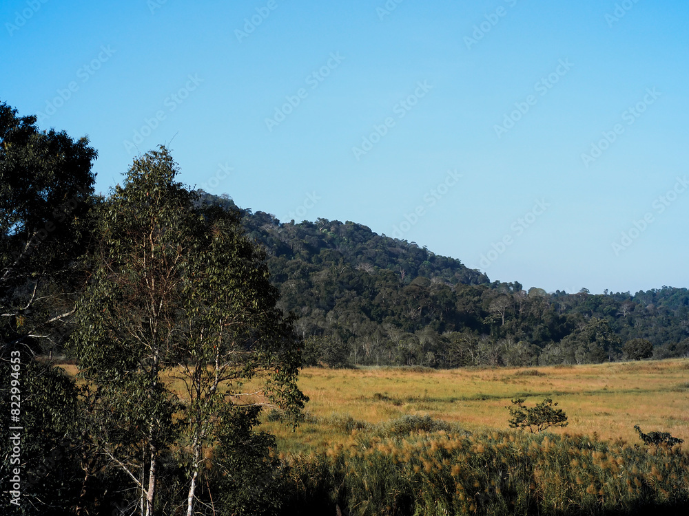 View of meadows on the mountains in the morning, good atmosphere. View of meadows on the mountains in the morning, good atmosphere.