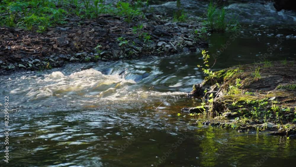 A mountain river flowing through the forest. The movement of water in the river. Beautiful natural landscape. A calm scene. A mountain river flowing through the forest. The movement of water in the river. Beautiful natural landscape. A calm scene.