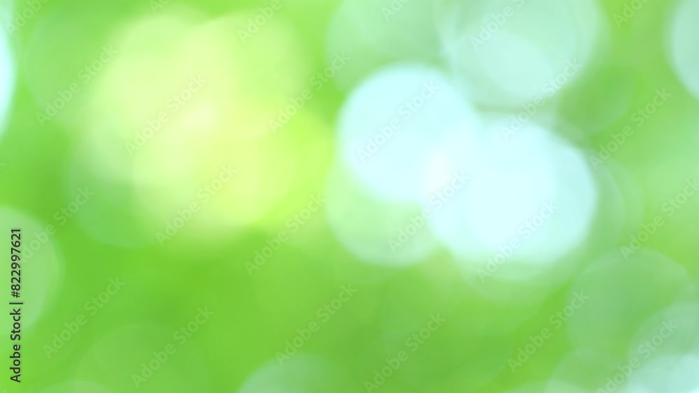 初夏の風に揺れる桜の新緑のぼかし 初夏の風に揺れる桜の新緑のぼかし