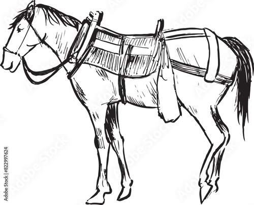 An ink sketch of a horse with a saddle, a breastplate and a headcollar. Animal vector drawing. Black and white isolated ink illustration. 