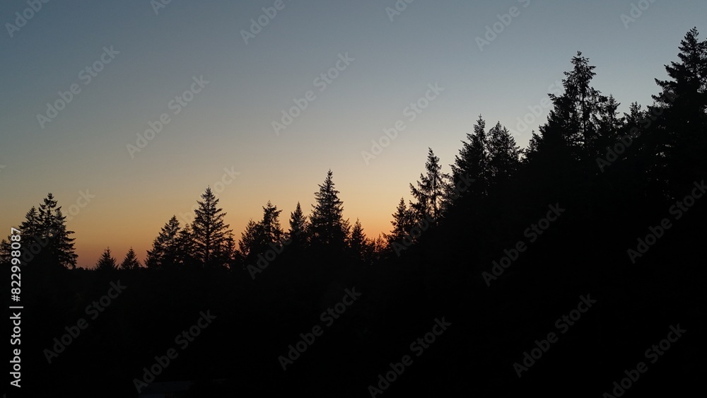 Obraz premium default