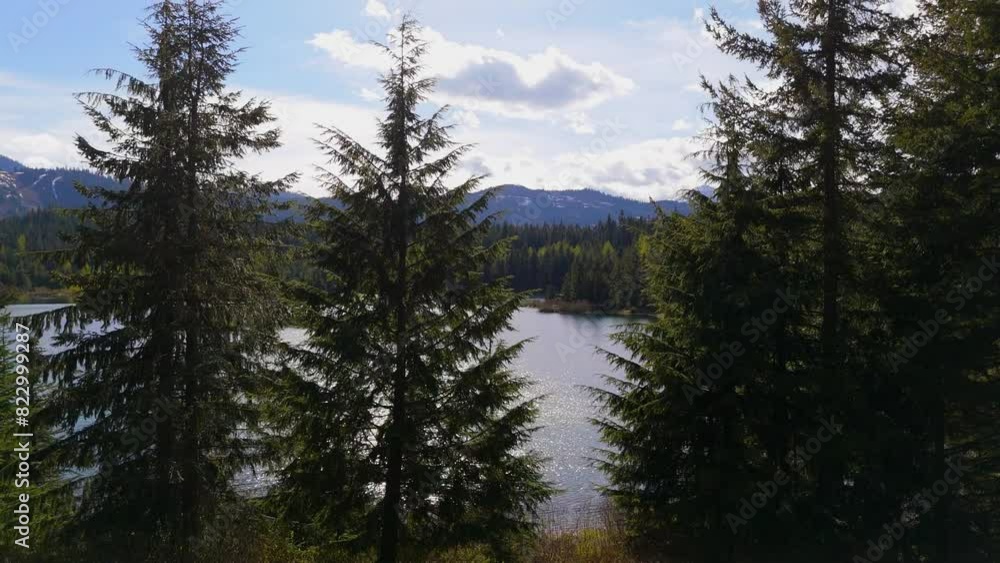 Ascending view of Gold Creek Pond and Nature on a blue day in Washington State. Ascending view of Gold Creek Pond and Nature on a blue day in Washington State.
