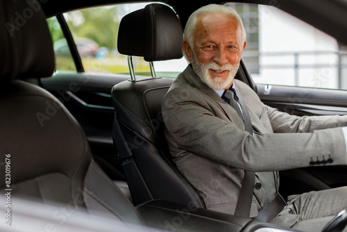 Distinguished elderly gentl...