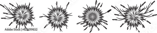 Illustration of Jungle Pampas grass hand-drawn top view set 