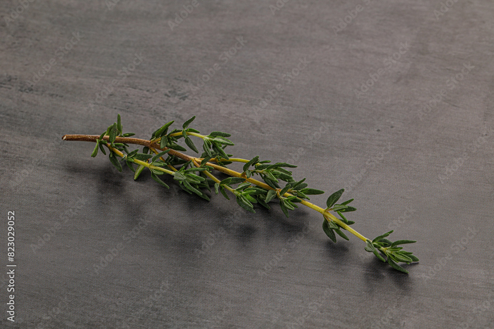 Aroma seasoning thyme stem with leaves Aroma seasoning thyme stem with leaves