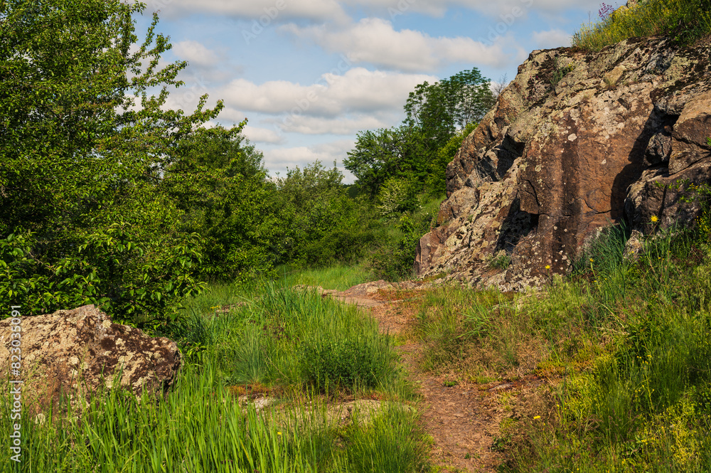 Rock mountaine trail in forest for trekking and hiking. Trees, grass, stones Rock mountaine trail in forest for trekking and hiking. Trees, grass, stones