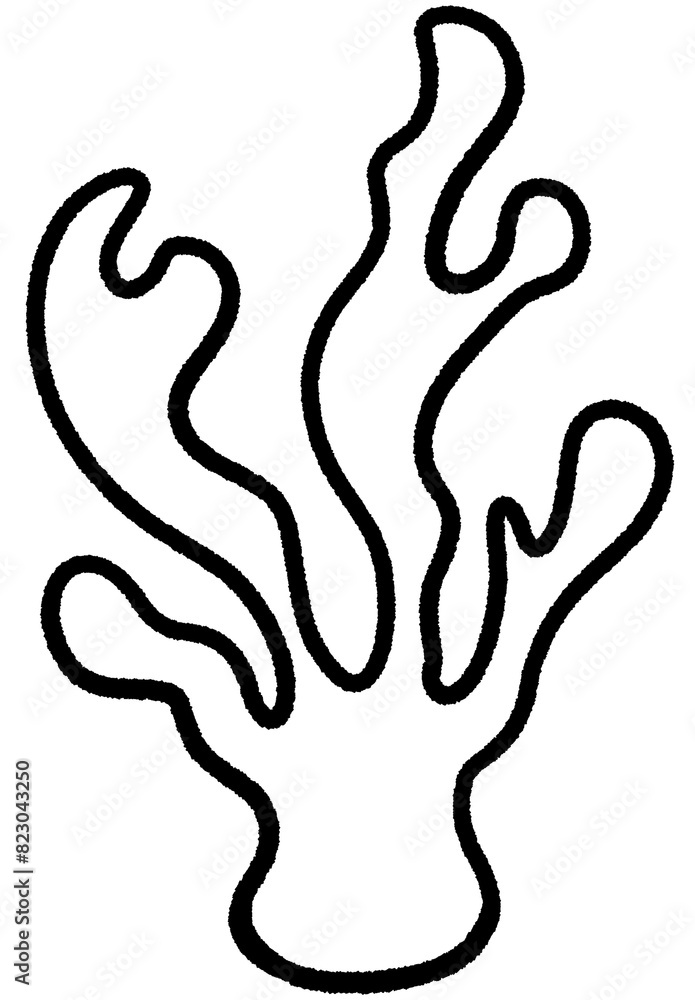 Coral line,Shell line,seaweed line,star fish line,black outline style png summer sea set Coral line,Shell line,seaweed line,star fish line,black outline style png summer sea set