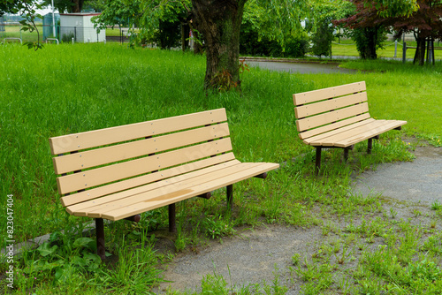 公園のベンチと芝生のある風景