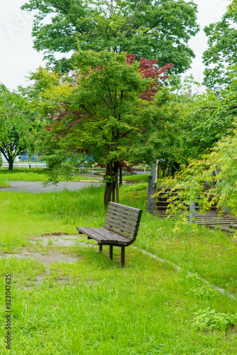 公園のベンチと芝生のある風景