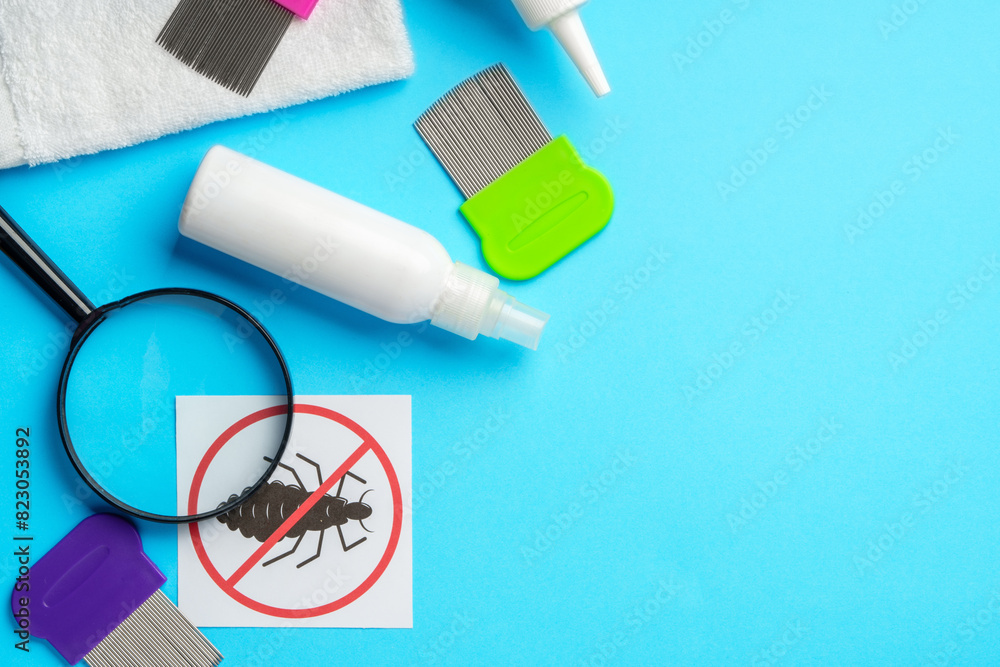 Anti lice equipment on blue background top view Anti lice equipment on blue background top view