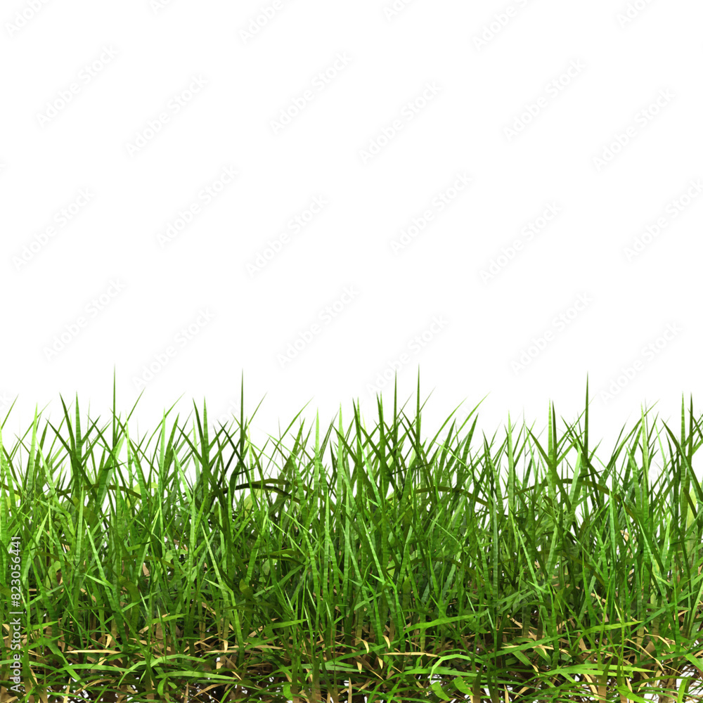 3D-rendered green grass on a transparent background. 3D-rendered green grass on a transparent background.