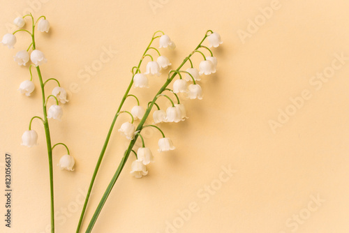 Lily of the valley on beige background with copy space. White tiny flowers on peach fuzz background. Romantic postcard. Springtime concept. Summer flat lay. Minimalism concept.