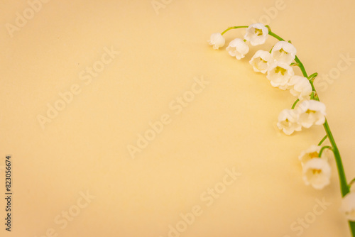 Lily of the valley on beige background with copy space. White tiny flowers on peach fuzz background. Romantic postcard. Springtime concept. Summer flat lay. Minimalism concept.