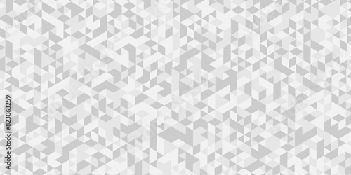 Vector geometric seamless technology gray and white  triangle element light background. Abstract digital grid light pattern white Polygon Mosaic triangle Background  business and corporate background.