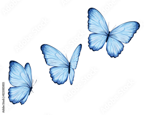 blue decorative monarh butterfly set flock of butterfly © ulucsevda