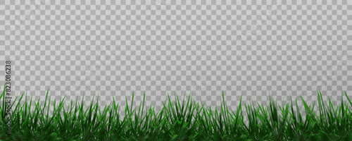 Grass border, vector illustration. Vector grass, lawn. Grass png, lawn png. Green grass with sun glare.