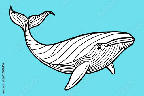whale. Hand drawn vector illustration of a whale. Vector illustration.