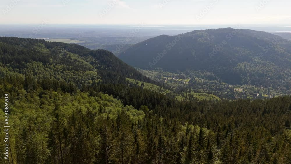 Beautiful aerial view flying over dense evergreen forest from mountain top in Issaquah, Washington State. Beautiful aerial view flying over dense evergreen forest from mountain top in Issaquah, Washington State.