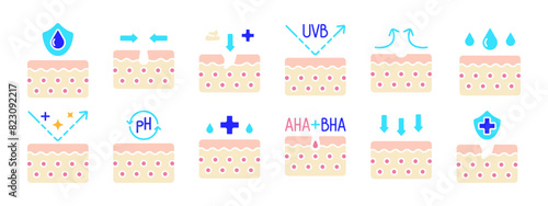Skin set icon. Hydration shield, exfoliation, UVB protection, soothing, moisturizing, pH balance, AHA BHA treatment, anti-aging, deep absorption, skin protection. Skin care, beauty.