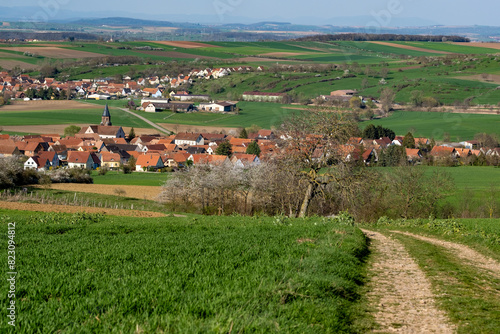 Village de Reutenbourg (Alsace, France)