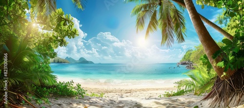 A beautiful tropical beach with palm trees and a clear blue sky