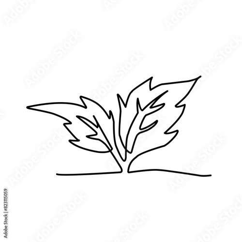 leaf continuous line art