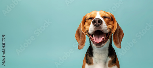 A dog is smiling and has its mouth open. The dog is brown and white. a beagle dog with its eyes closed in joy, mouth open in a carefree smile against a light blue pastel background.