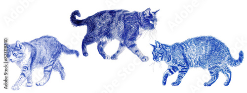 Cat blue pen png element set on transparent background