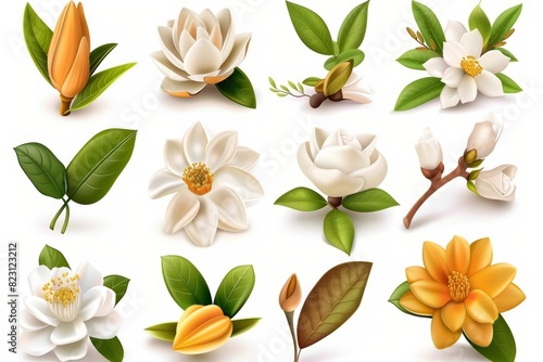 Plants and flavors of medicinal plants, including magnolia, calendula, jasmine, aloe, jojoba, tea, rose, argania, macadamia. The set includes three-dimensional realistic modern icons of the plants. photo
