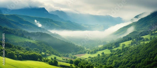Serene Misty Valley and Green Mountainscape