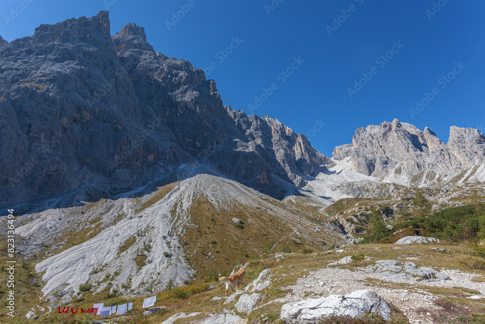 Rocky dolomite peaks overlooking the Vallon Popera in Comelico region with green meadows, blue sky, the hanging clothes of the Berti Hut and a dog, Dolomites, Italy Rocky dolomite peaks overlooking the Vallon Popera in Comelico region with green meadows, blue sky, the hanging clothes of the Berti Hut and a dog, Dolomites, Italy