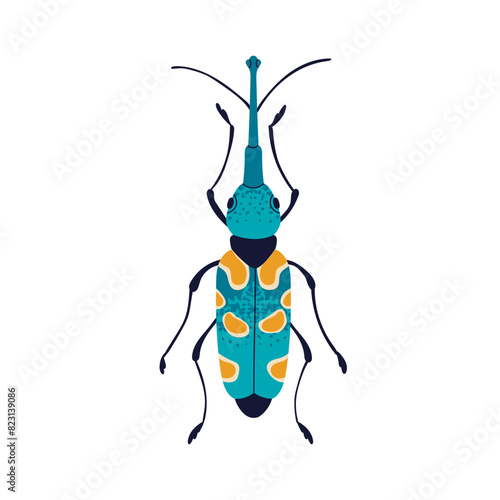 Weevil bug, top view. Colorful spotted insect. Spotty beetle with long probos...