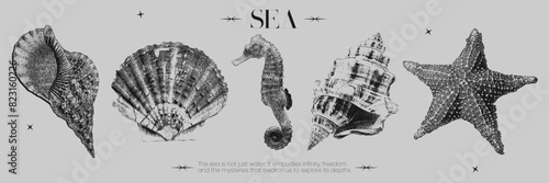 Retro collection of marine elements with photocopy effect. Contemporary vector stickers design, seashells, starfish, seahorse and text. Vintage negative halftone effect, trendy y2k aesthetic. photo