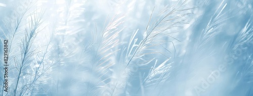Ethereal Blue Feathers in Soft Focus Background