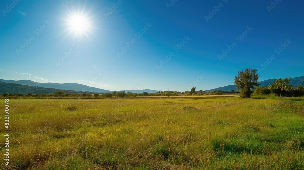 Serene Meadow Under Bright Sunny Sky Serene Meadow Under Bright Sunny Sky