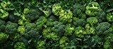 High-quality close-up image of fresh, vibrant green broccoli heads, perfect for health and nutrition themed projects or culinary articles.