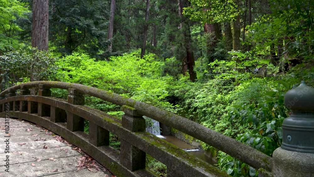 Beautiful walk across stone bridge inside Japanese shrine in slow motion Beautiful walk across stone bridge inside Japanese shrine in slow motion