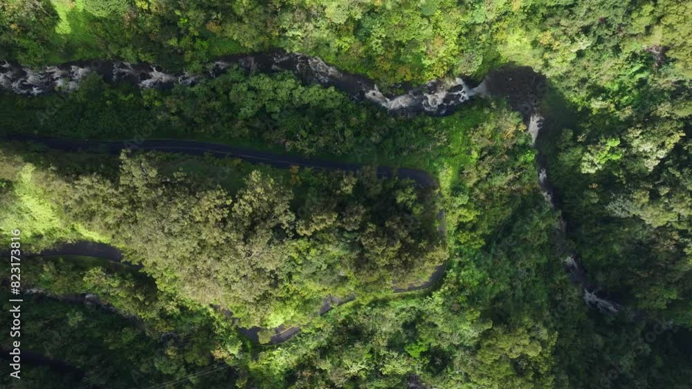 Aerial top down across winding road to hana in tropical forest next to beautiful river Aerial top down across winding road to hana in tropical forest next to beautiful river