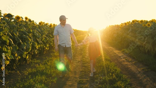 Father and daughter going holding hands at sunflower field sunset sun light pointing talking together. Family dad with girl kid walking agricultural flower meadow farming countryside weekend leisure photo