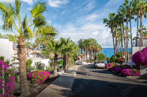 Costa Calma, Fuerteventura: lush palm-lined avenues and vibrant blooms frame a tranquil resort town, embodying island serenity.