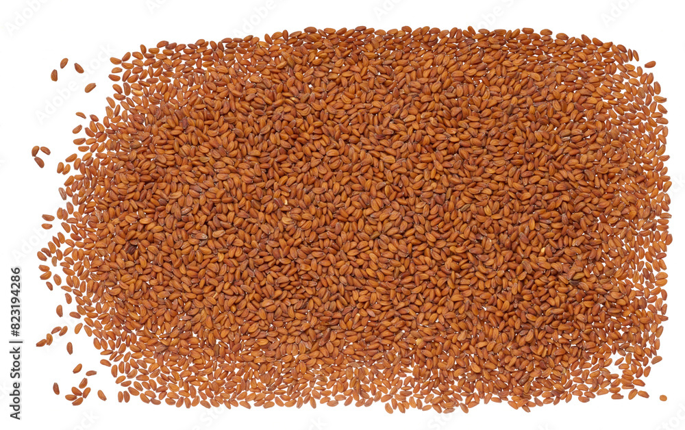 Scattered brown watercress seeds on isolated background, top view Scattered brown watercress seeds on isolated background, top view