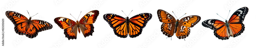 Fototapeta premium Butterflies png element set on transparent background