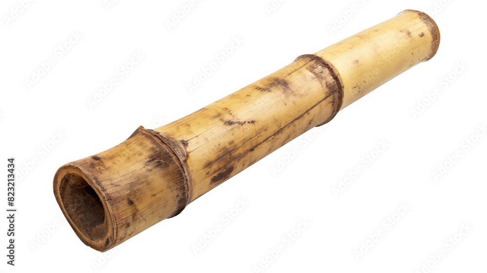 ripe bamboo trunk isolated on transparent white background, clipping path ripe bamboo trunk isolated on transparent white background, clipping path