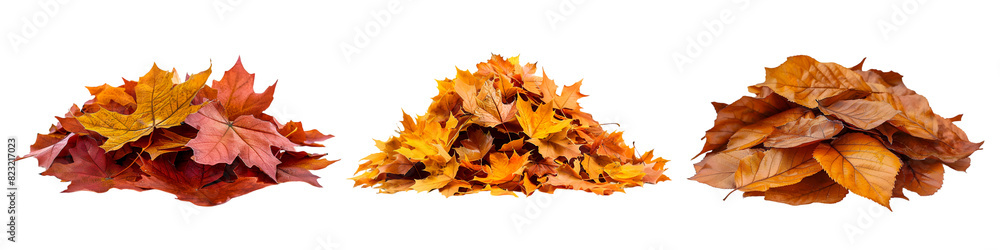 Pile of yellow autumn leaves on transparent background
Pile of yellow autumn leaves on transparent background