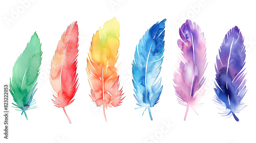 colourful rainbow watercolour feathers set isolated on white background