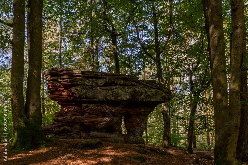 Red Rock Formation in Forest in Rockland of Dahn,  Rhineland-Palatinate, Germany, Europe