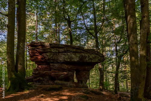 Red Rock Formation in Forest in Rockland of Dahn,  Rhineland-Palatinate, Germany, Europe photo