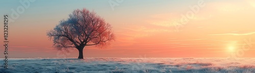 A single tree stands in a vast snow-covered field