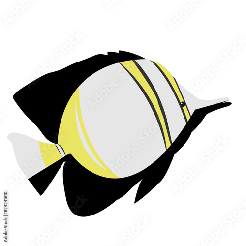 Obraz na plátně Margined Coralfish, vector, flat design, illustration, object, sea, biota, fish