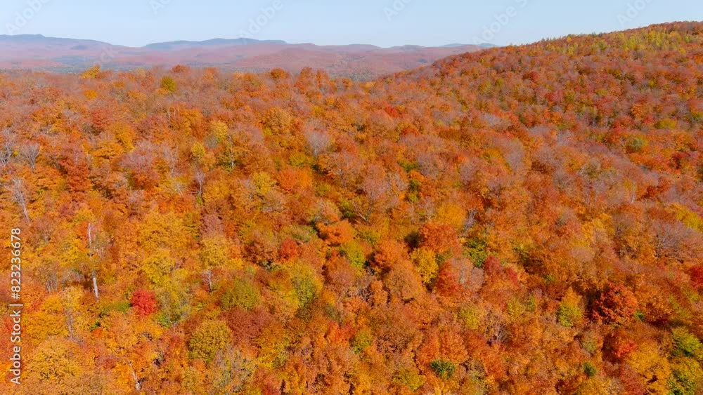 4K camera drone captures stunning autumn foliage colors while flying backwards over tree tops. 4K camera drone captures stunning autumn foliage colors while flying backwards over tree tops.